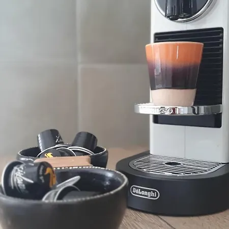 Апартаменты Moma Escape